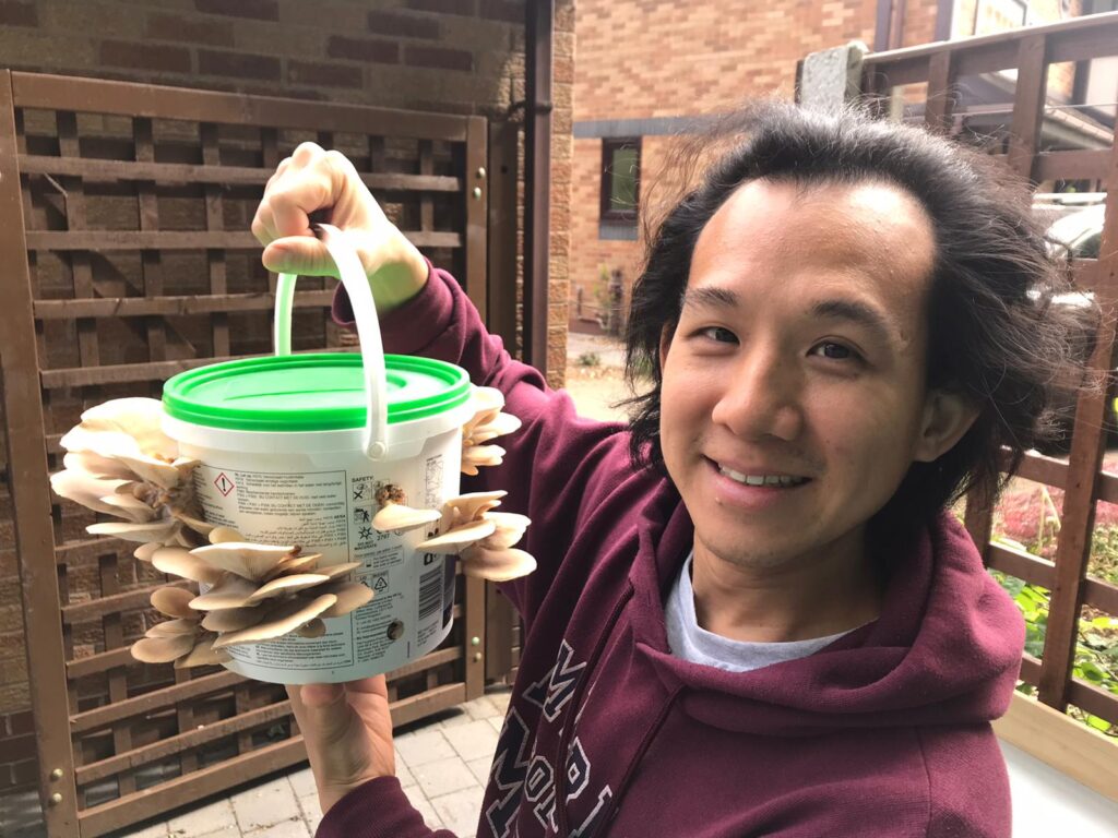 Mark’s Oyster Mushroom MethodologY (MOMMY) • Dr Mark ZY Tan